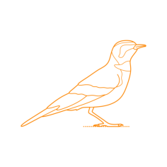 Animals Songbirds Horned Lark Digital Sketch Svg Design, Free Vectors File